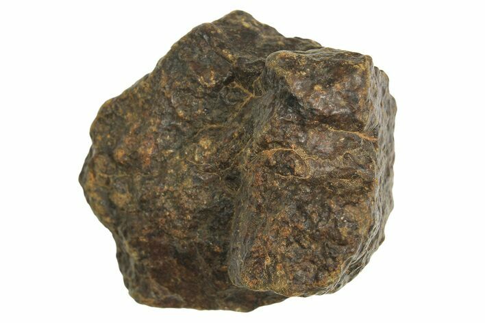 Chondrite Meteorite ( g) - Western Sahara Desert #296232